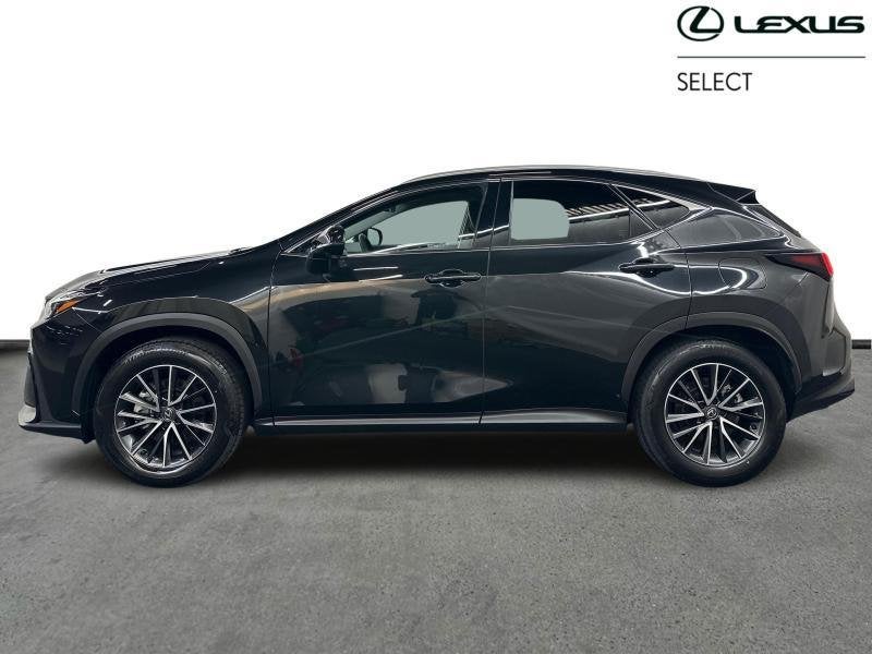 Lexus NX 244 hp HEV Executive L | head up display, Autos, Achat, 2487 cm³, Noir, Automatique
