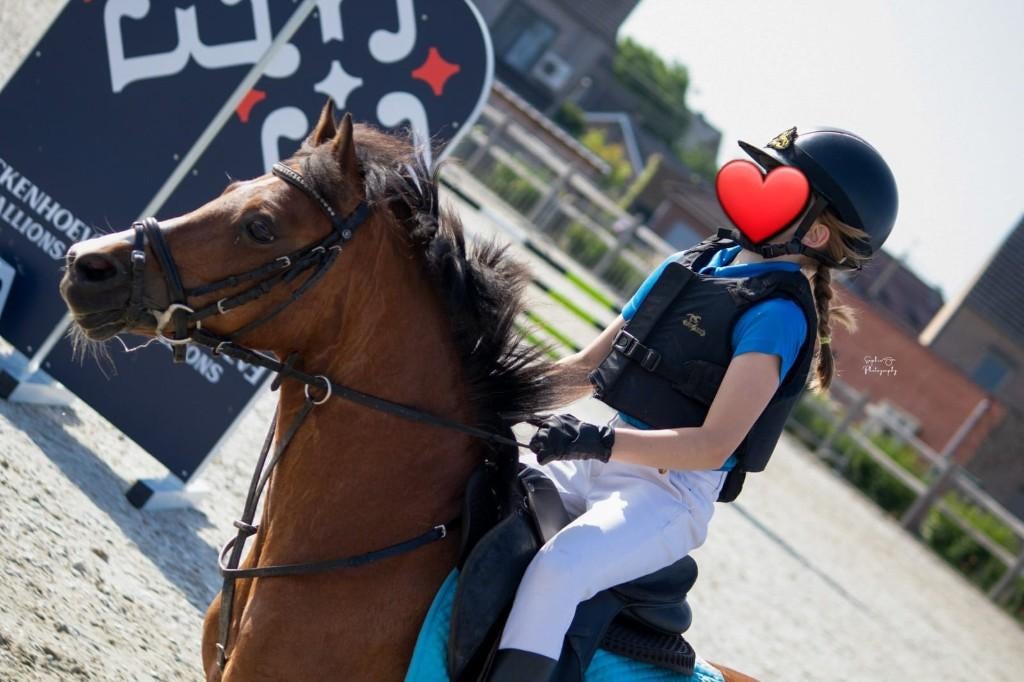 A-pony, superbrave allround sportpony, Dieren en Toebehoren, Pony's, Merrie, A pony (tot 1.17m), Springpony, 11 jaar of ouder
