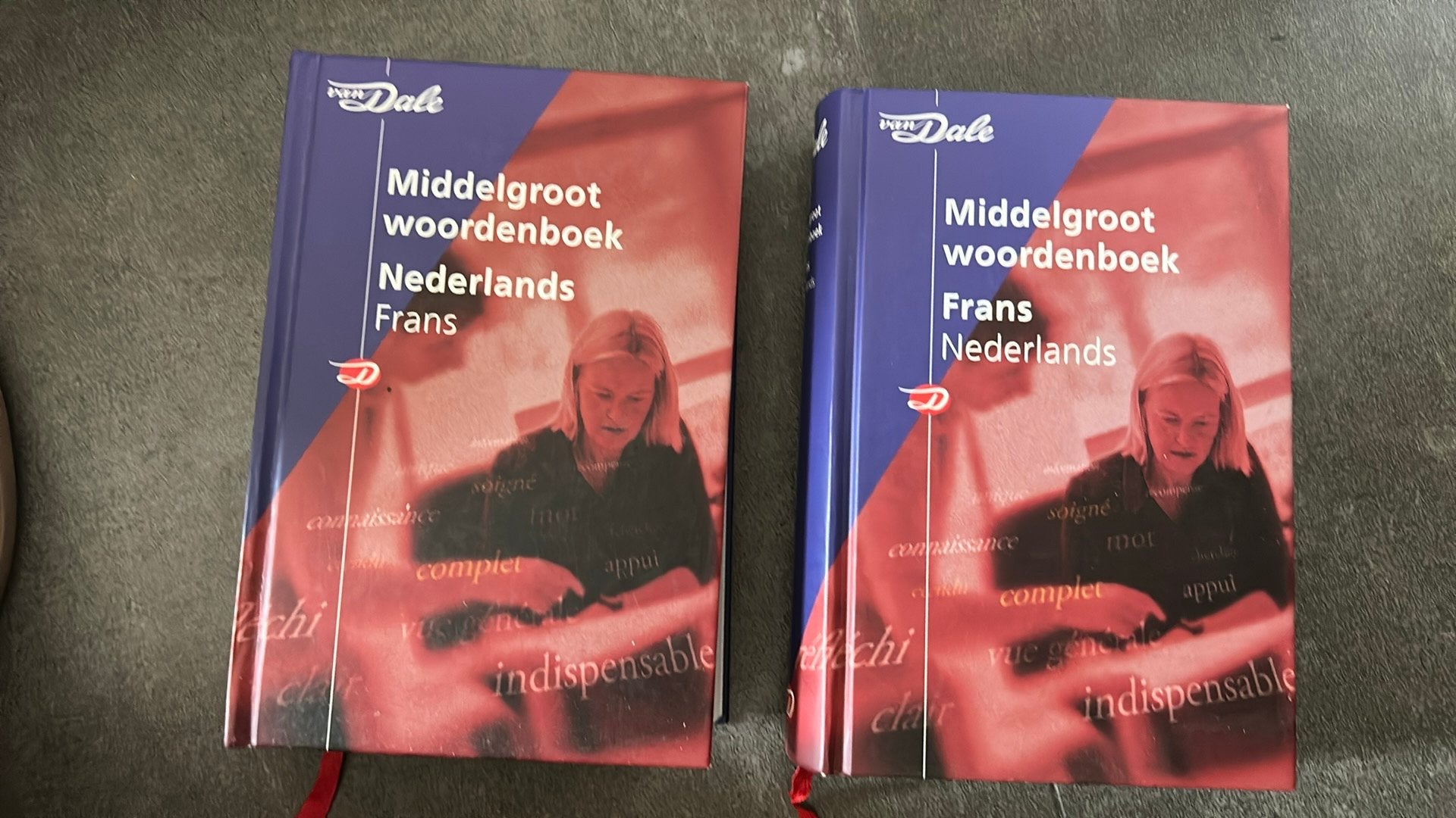 Twee woordenboeken Nederlands-Frans en Frans-Nederlands, Boeken, Woordenboeken, Ophalen of Verzenden, Zo goed als nieuw, Van Dale
