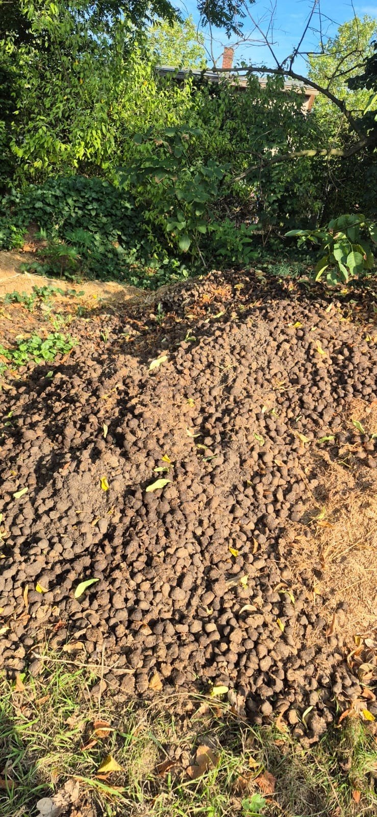 GRATIS zuivere paardenmest!, Tuin en Terras, Aarde en Mest, Ophalen