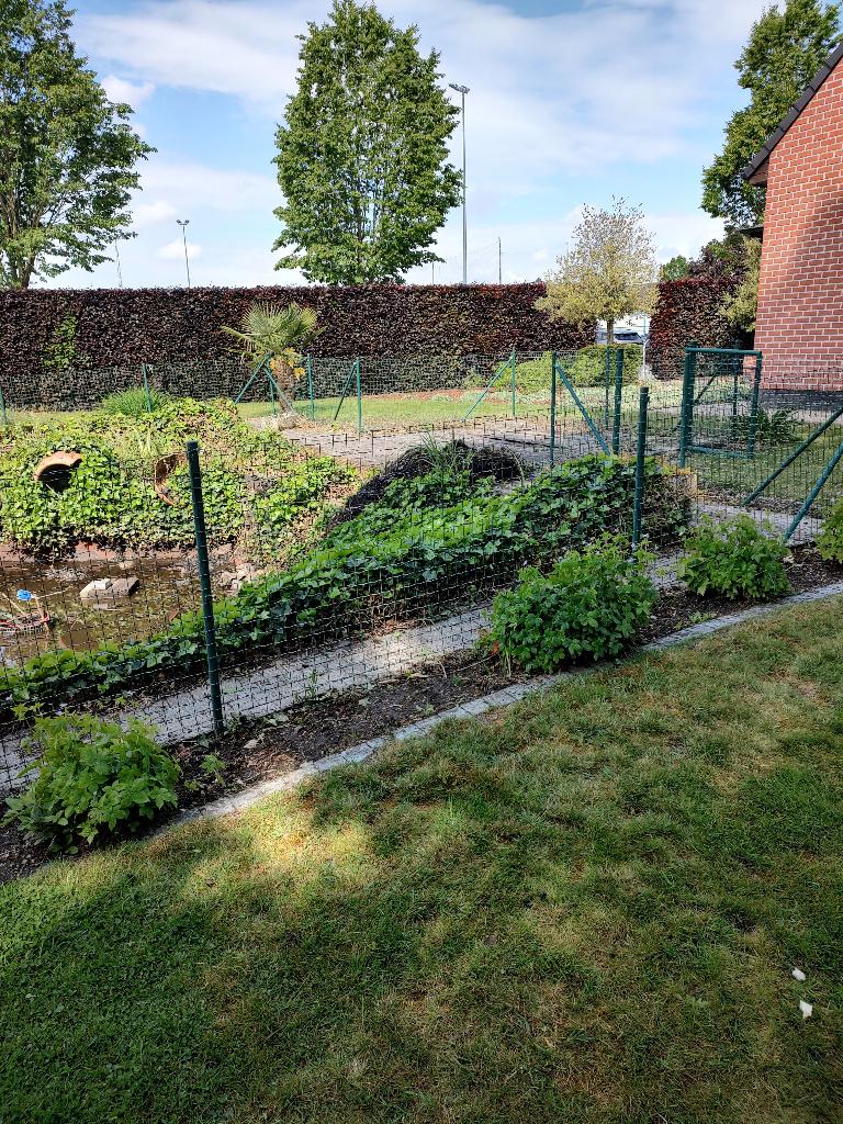 tuindraad +paaltjes +  poortje met sleutel, Tuin en Terras, Ophalen, Gebruikt, 20 meter of meer, Gaas