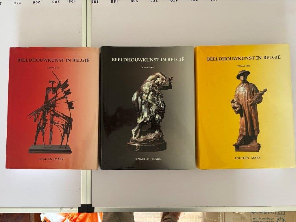 3-Delig : Beeldhouwkunst in België vanaf 1830., Livres, Art & Culture | Arts plastiques, Enlèvement, Comme neuf, Sculpture
