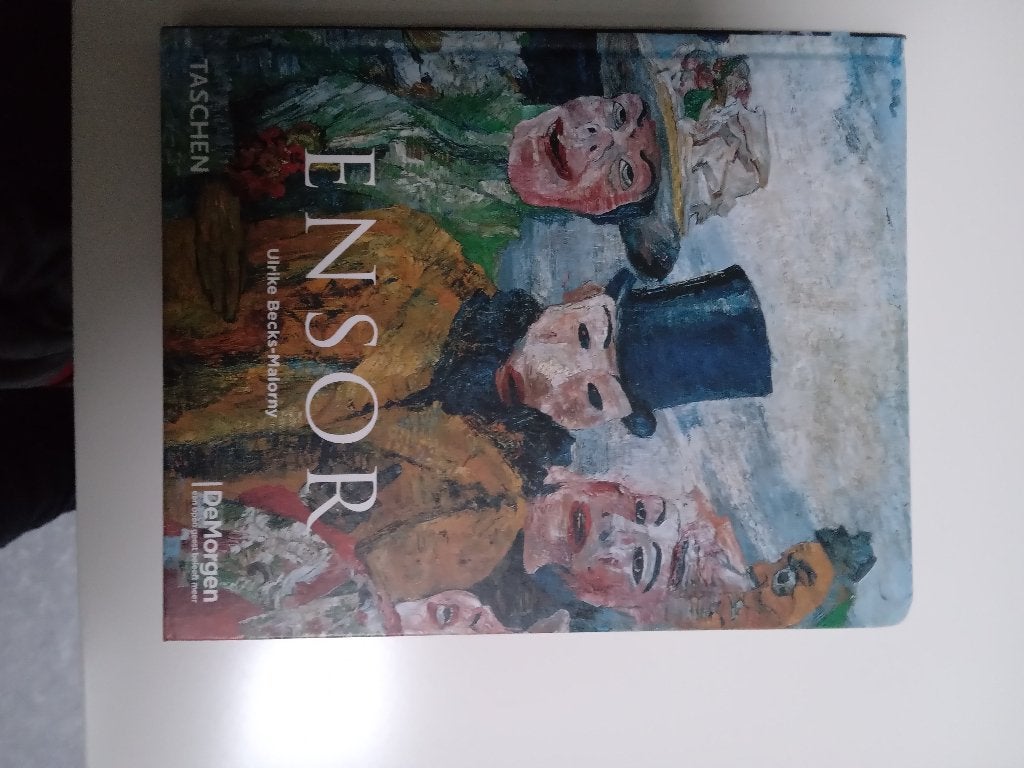 ensor boekje, Ophalen of Verzenden, Gelezen, Beeldhouwkunst