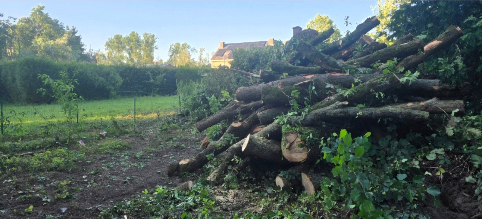 brandhout volle eik, Tuin en Terras, Brandhout, Ophalen