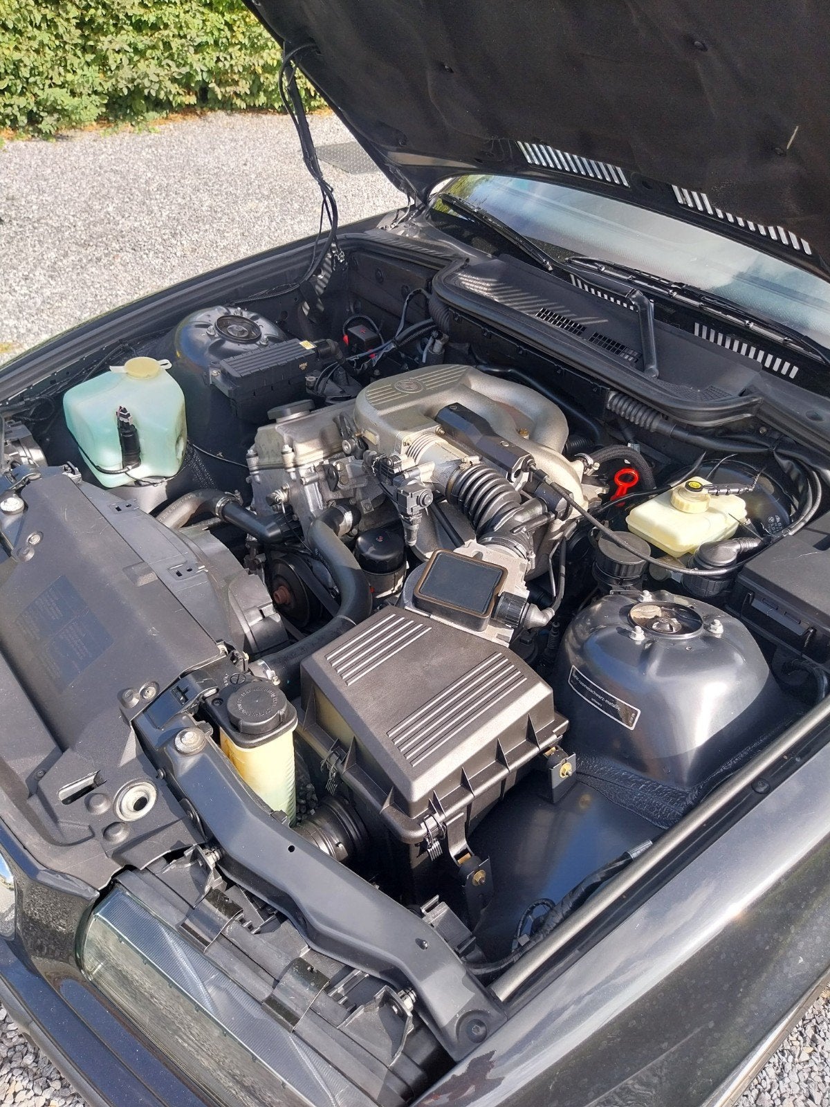BMW 318i cabrio, foto 5