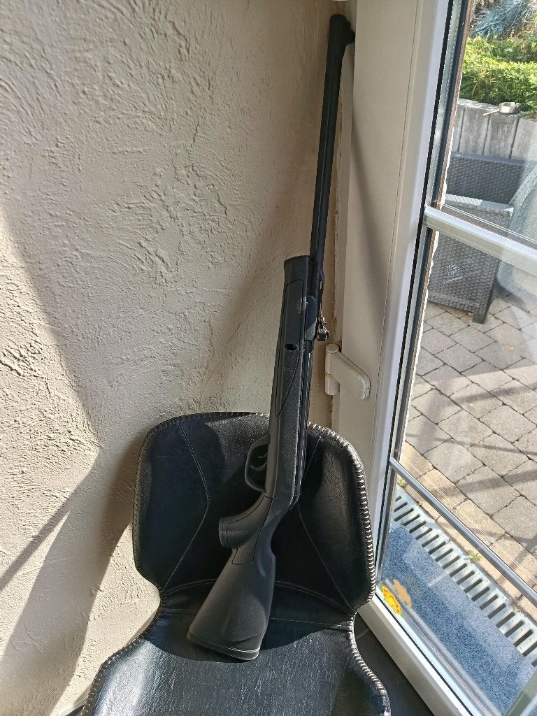 Carabine à plombs, Enlèvement