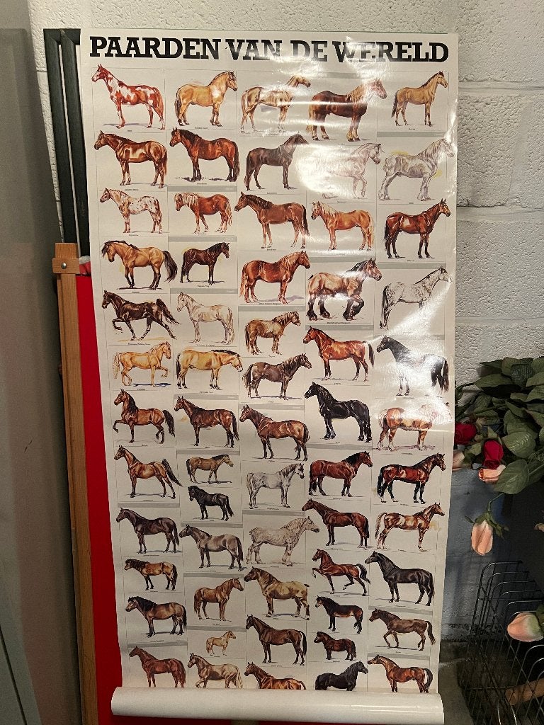 poster paarden van de wereld, Ophalen, Gebruikt
