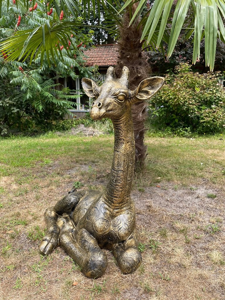 Beeld Giraf, giraffe goud , tuin, dieren, zwanger 80cm, Ophalen, Nieuw, Kunststof, Dierenbeeld