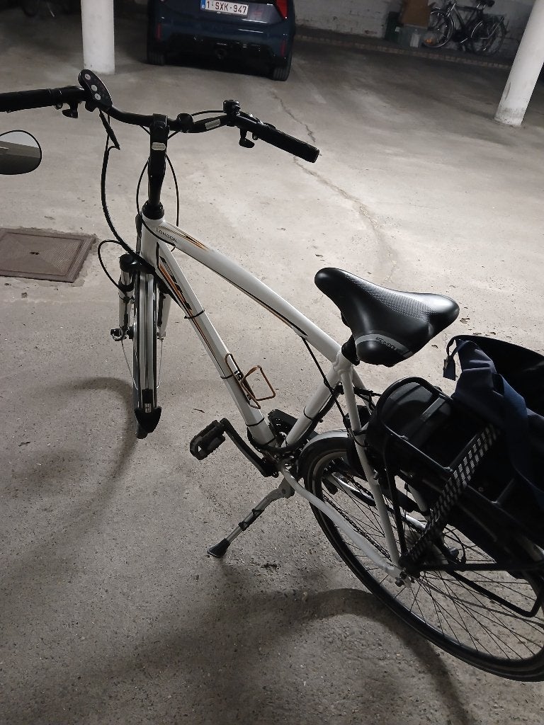 E bike, Fietsen en Brommers, Elektrische fietsen, Ophalen, Zo goed als nieuw, 50 km per accu of meer, Overige merken