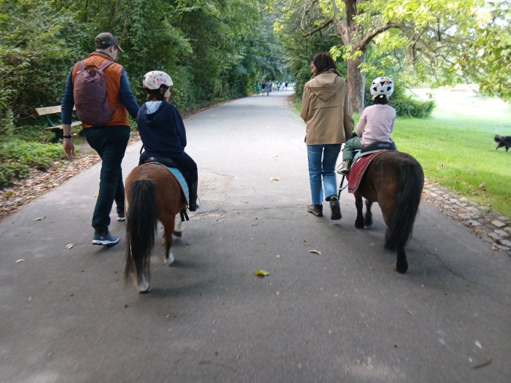 2 poneys pour enfants cherchent un bon foyer 400€, Animaux & Accessoires, Avec pedigree, 11 ans ou plus, Débourré, Poney de récréation