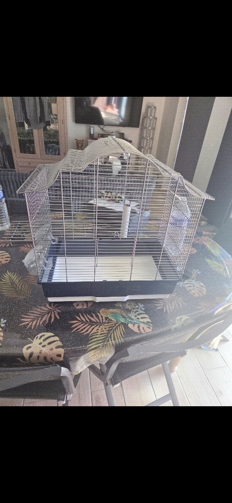 Grande Cage à oiseau, Ophalen, Nieuw