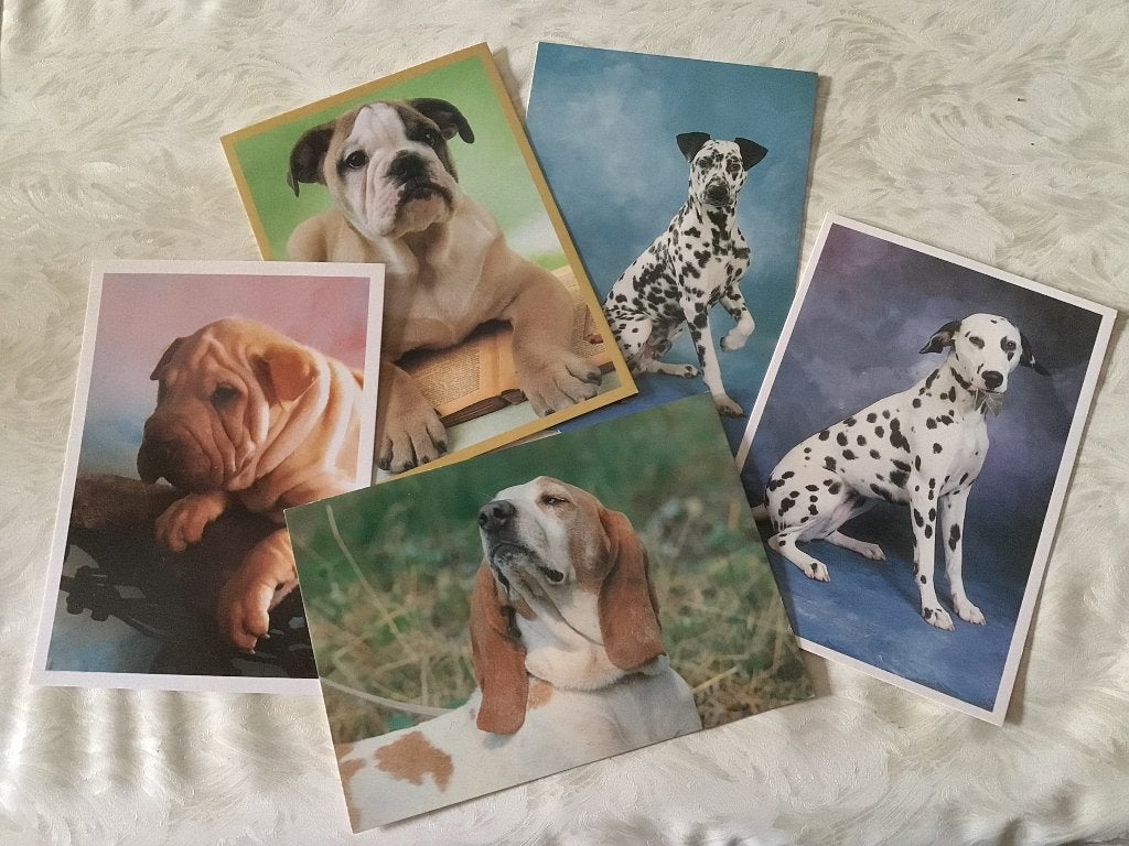 5 ongelopen honden dieren postkaarten, Verzamelen, Ophalen of Verzenden, Ongelopen