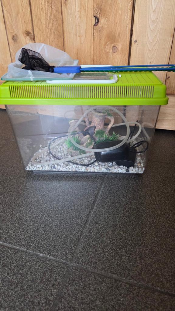 Aquarium, Dieren en Toebehoren, Vissen | Aquaria en Toebehoren, Ophalen, Pomp