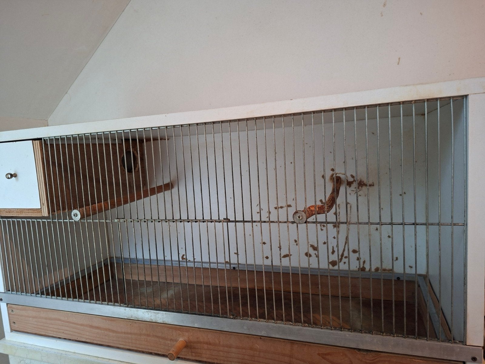 Kweekkooi, Enlèvement, Utilisé, Bois, Cage d'élevage