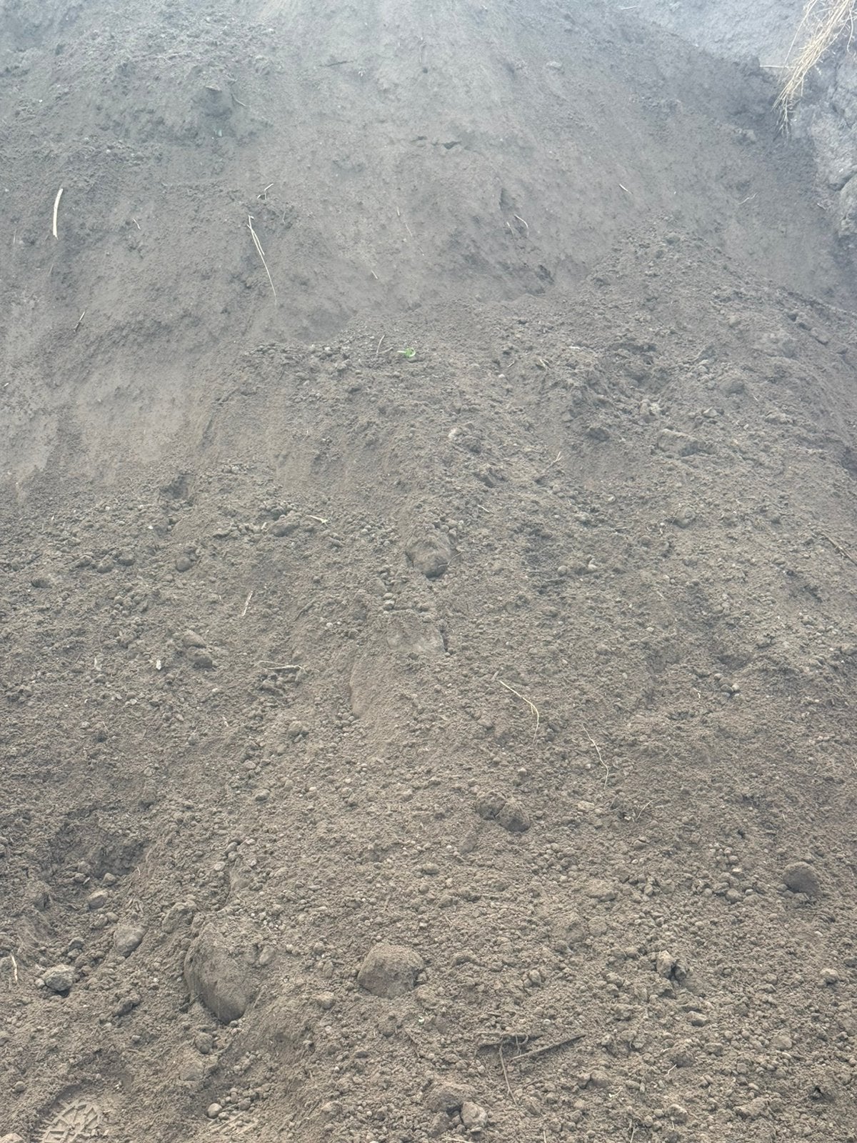 Teelaarde, Ophalen, Compost