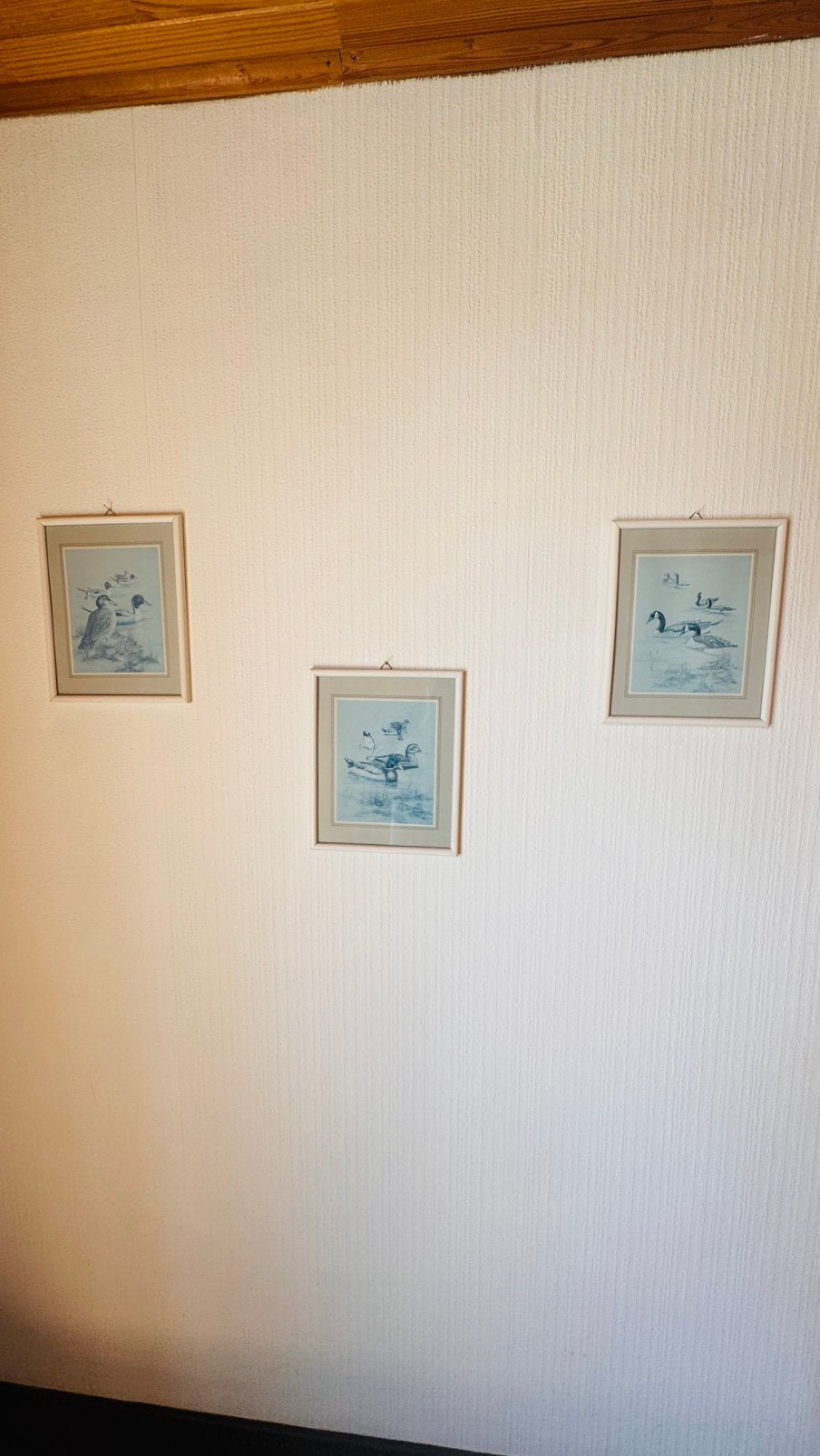 Set van 3 Vintage Eenden/Ganzen Prenten – Ingelijst, Verzamelen, Ophalen, 1980 tot heden, Zo goed als nieuw, Dier