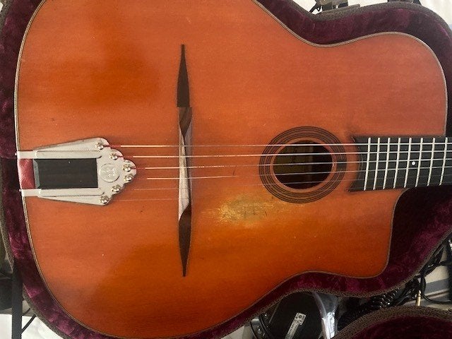 Eastman DM2-V Gipsy Jazz gitaar, Muziek en Instrumenten, Snaarinstrumenten | Gitaren | Elektrisch, Ophalen of Verzenden, Zo goed als nieuw
