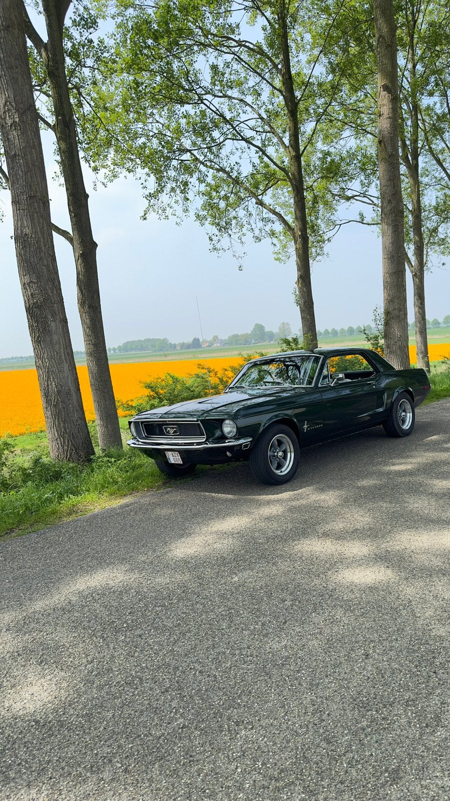 Ford Mustang 1968, foto 3