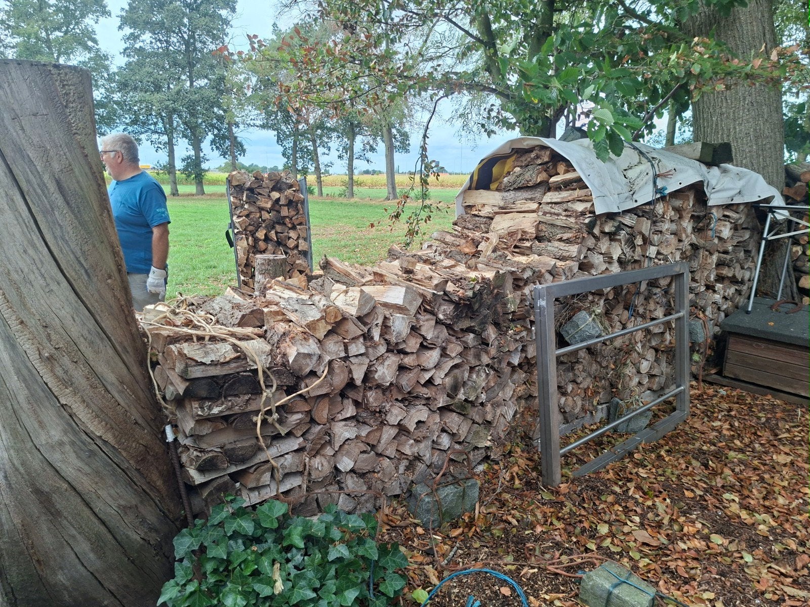 brandhout, stookhout, Jardin & Terrasse, Bois de chauffage, 3 à 6 m³, Enlèvement, Autres essences de bois, Bûches