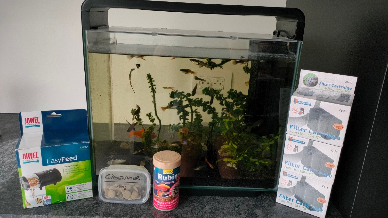 aquarium met toebehoren, inclusief vissen, Dieren en Toebehoren, Ophalen