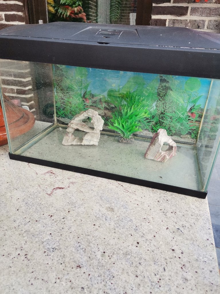 Aquarium, Ophalen, Inclusief planten, Gebruikt, Overige merken