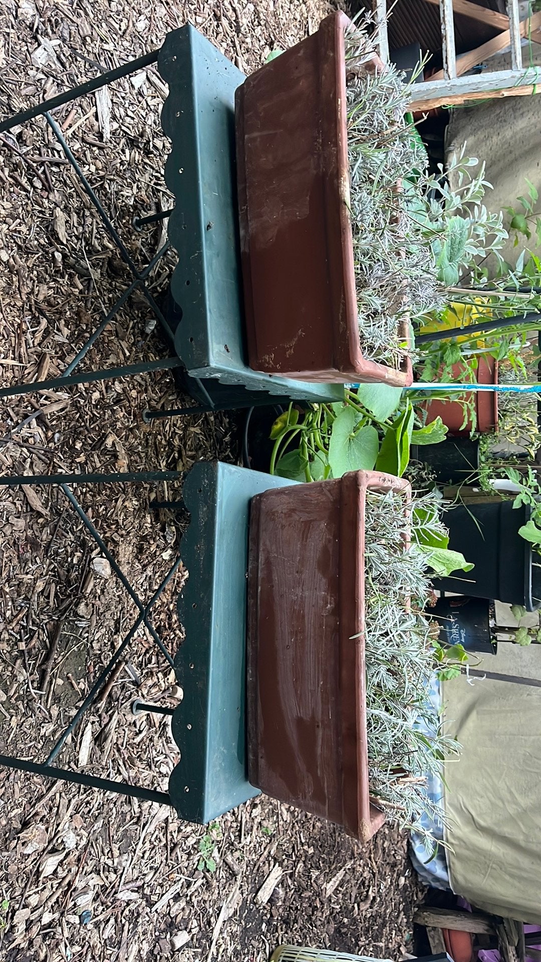 Jardiniere en terre cuite, Jardin & Terrasse, Enlèvement, Utilisé