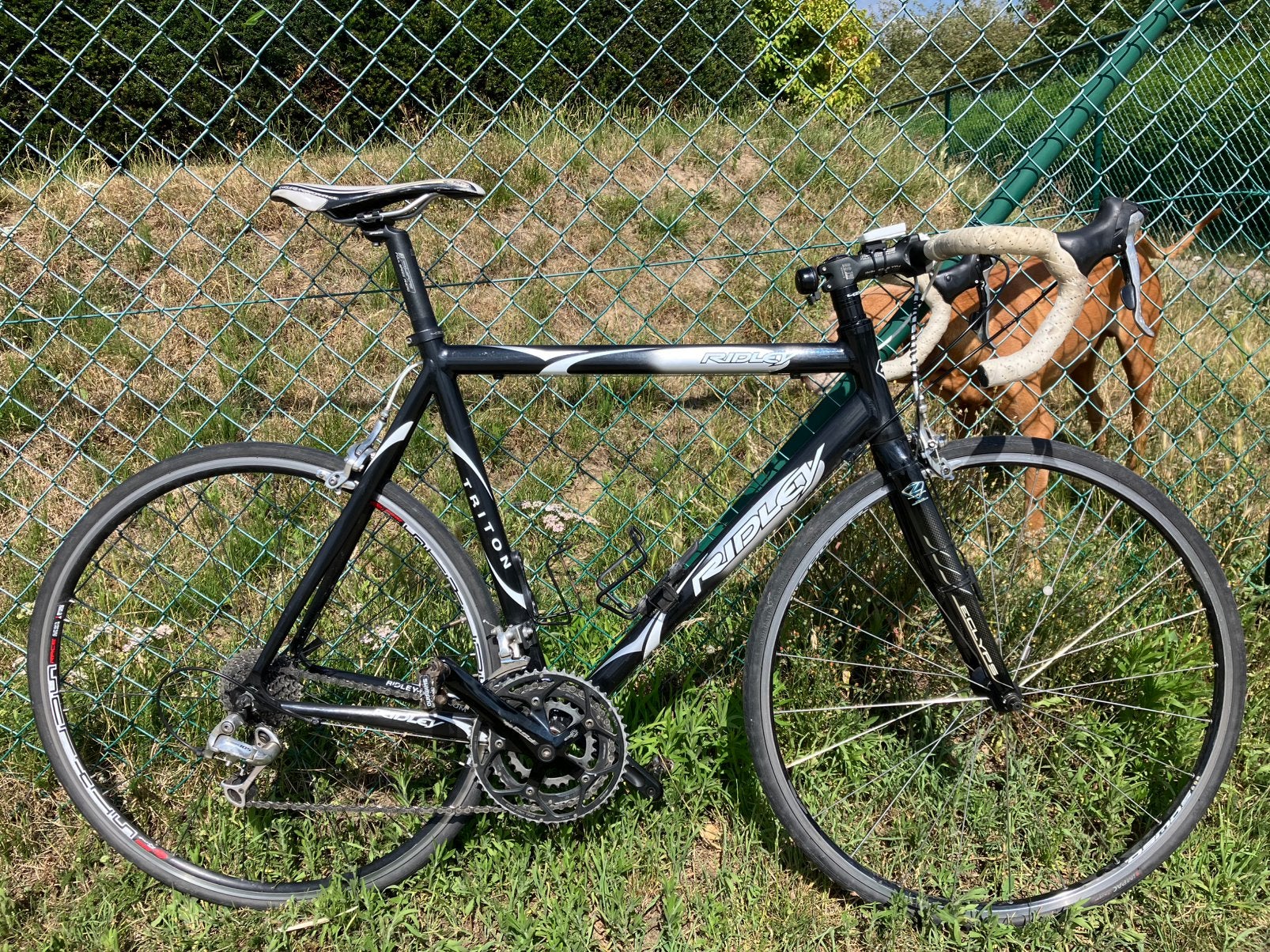 Ridley Triton, Fietsen en Brommers, Ophalen