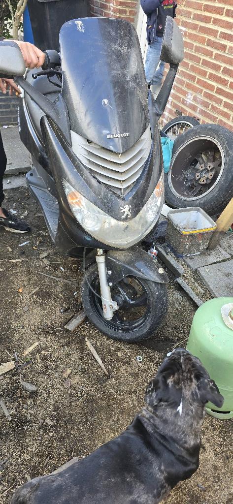 Scooter 50, Fietsen en Brommers, Scooters | Peugeot, Benzine, Ophalen