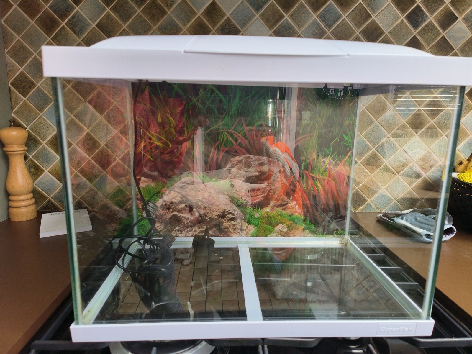 aquarium, Dieren en Toebehoren, Ophalen, Gebruikt