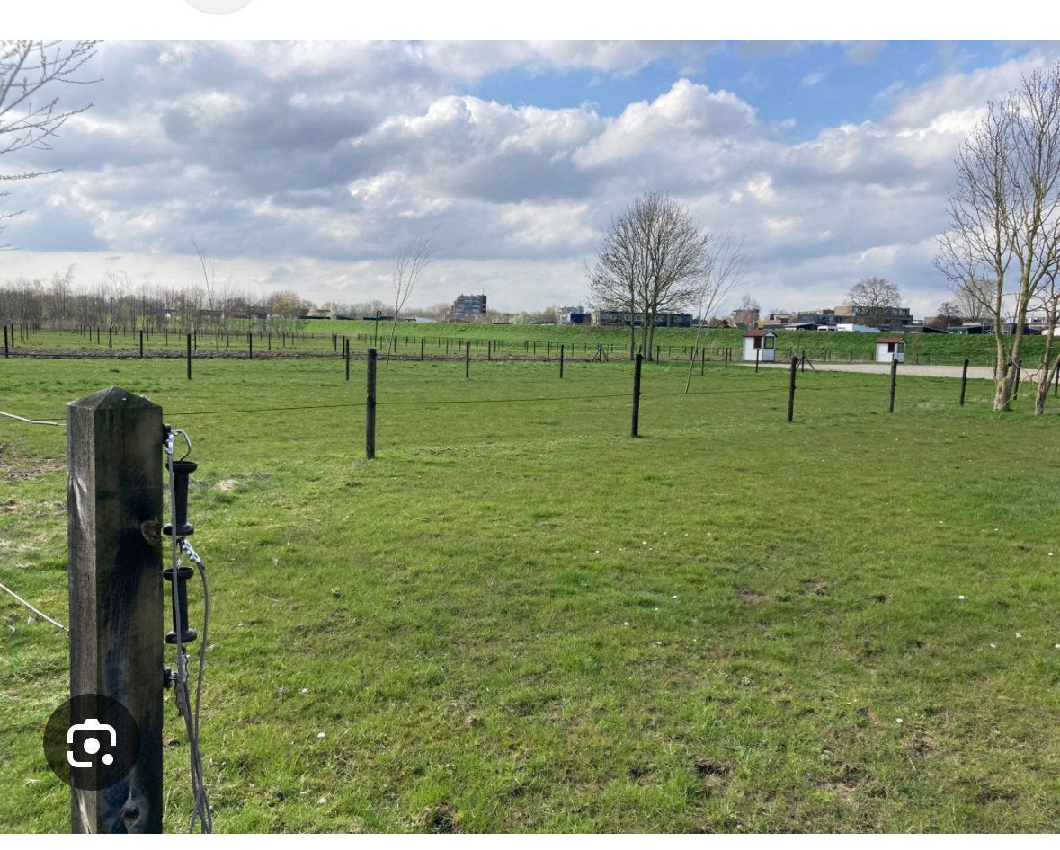 Weide ge zocht voor, Animaux & Accessoires, Chevaux