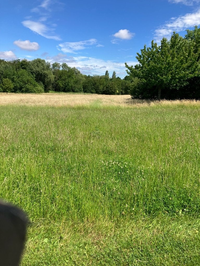 Gratis 12 ha gras regio Beersel, Ophalen