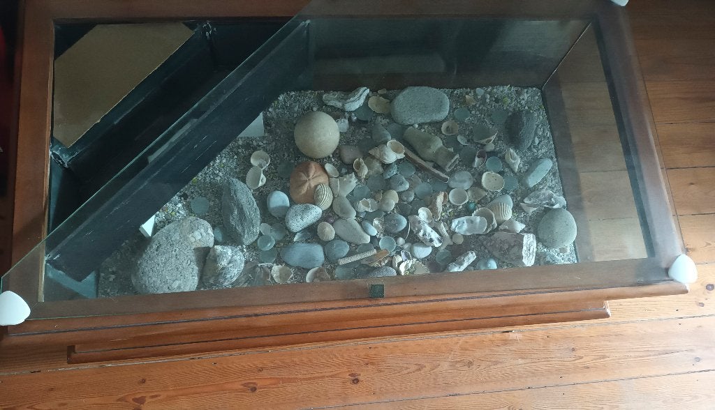 Table Aquarium Salon, 100 à 150 cm, Enlèvement, Utilisé, 50 à 100 cm