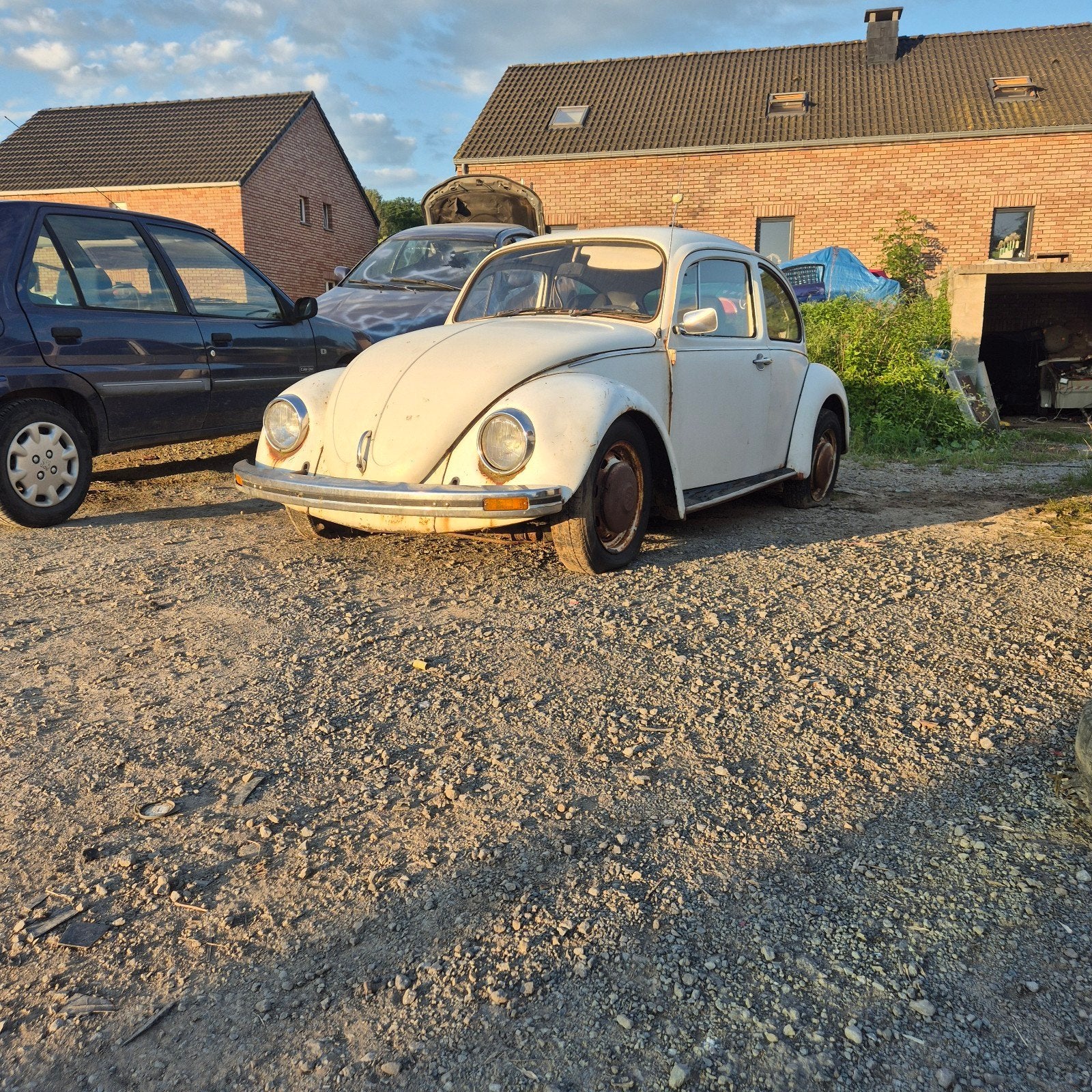 Vw cox, Achat