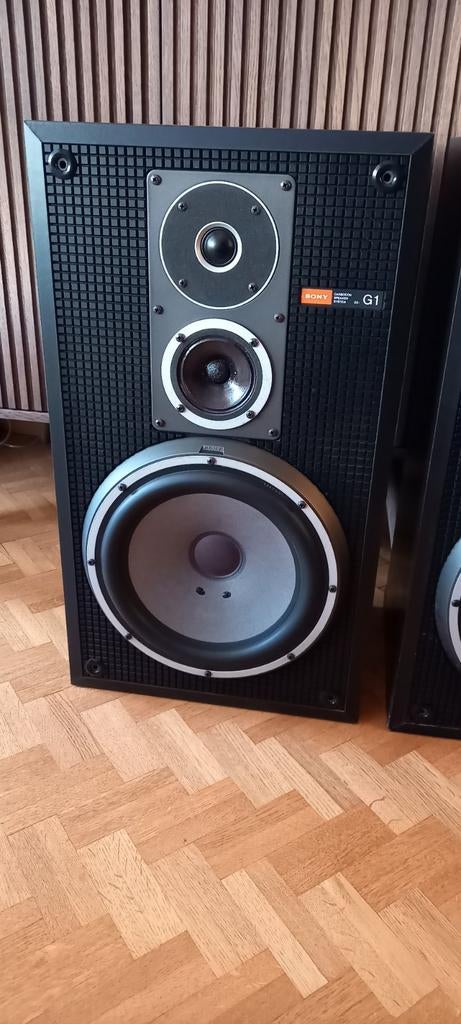 Sony ss-G1 luidsprekers vintage seas, Audio, Tv en Foto, Luidsprekerboxen, Gebruikt, Front, Rear of Stereo speakers, 60 tot 120 watt
