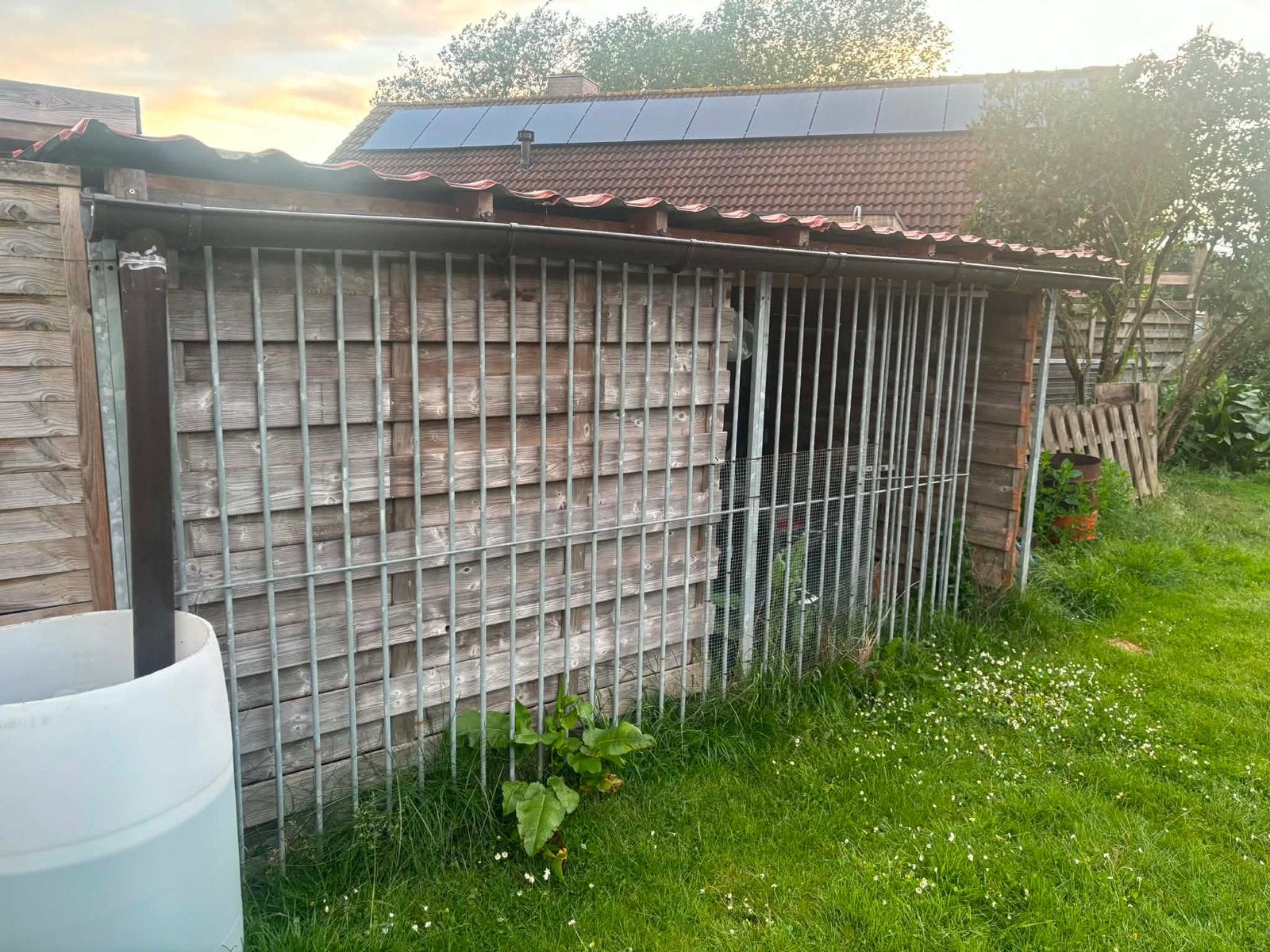 Hondenren met dak en dakgoot, Dieren en Toebehoren, Ophalen, Gebruikt, Hondenkennel