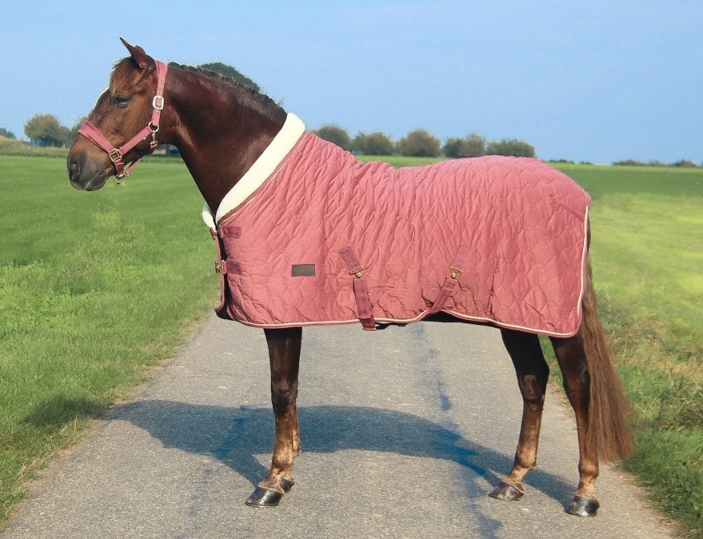 Profi-Rider Showdeken Velvet 150g Pink Roze 205 SALE!, Dieren en Toebehoren, Full (L), Overige merken, 150 g, Nieuw
