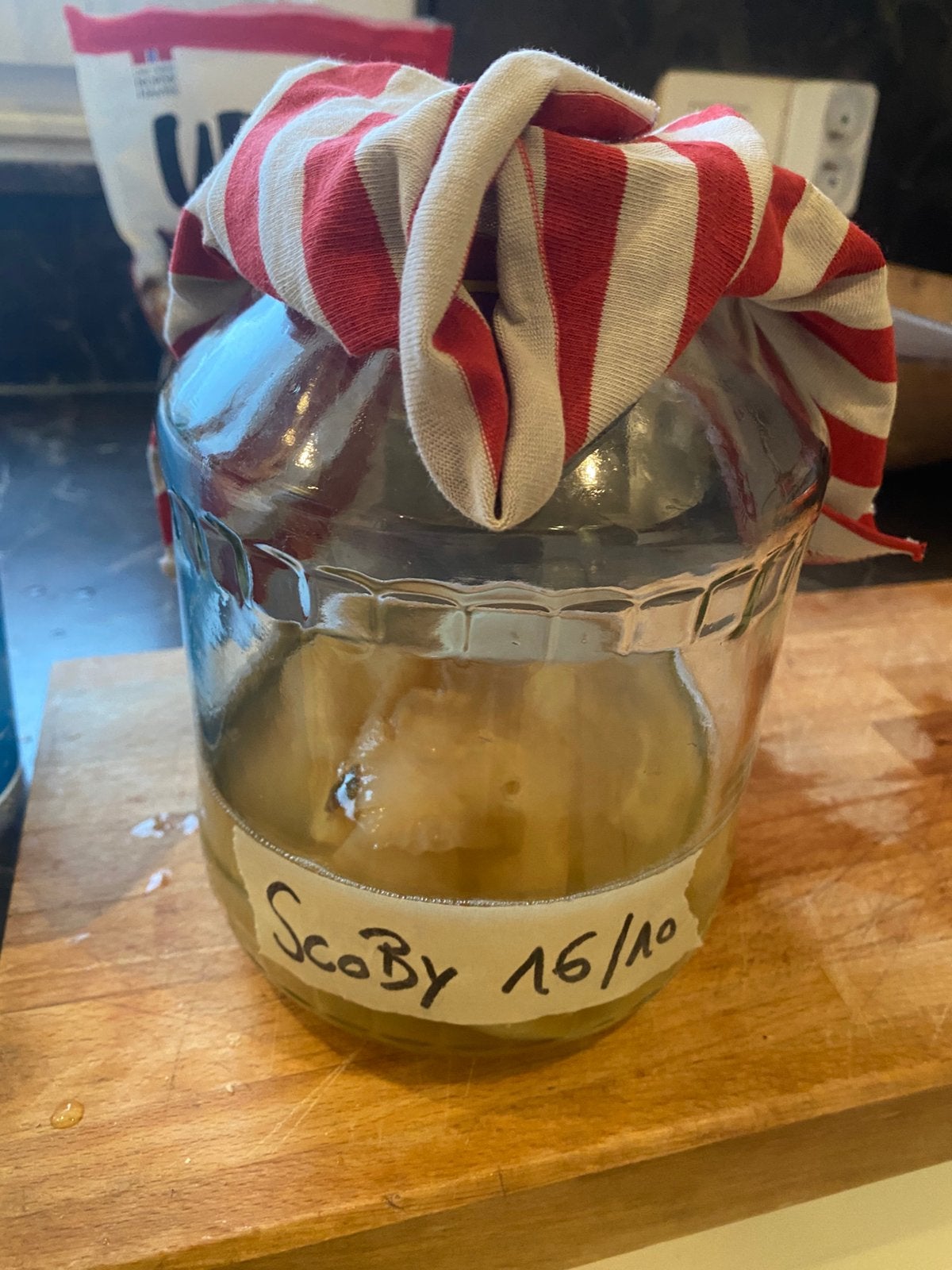 Scoby en startersvloeistof KOMBUCHA, Ophalen