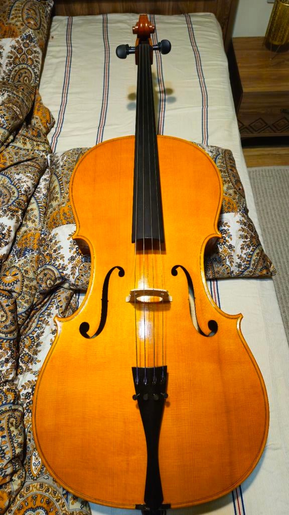 Violoncelle Master — Alin Stoica (2026) — Modèle Stradivari, Musique & Instruments, Instruments à cordes frottées | Violoncelles