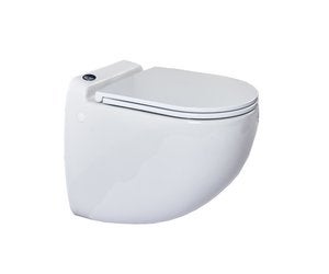 Toilet - Broyeurtoilet Sani-wand, Doe-het-zelf en Bouw, Ophalen, Gebruikt, Steen, Toilet