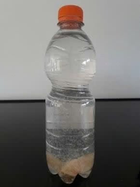 Azijnaaltjes, Overige typen, Zoetwatervis