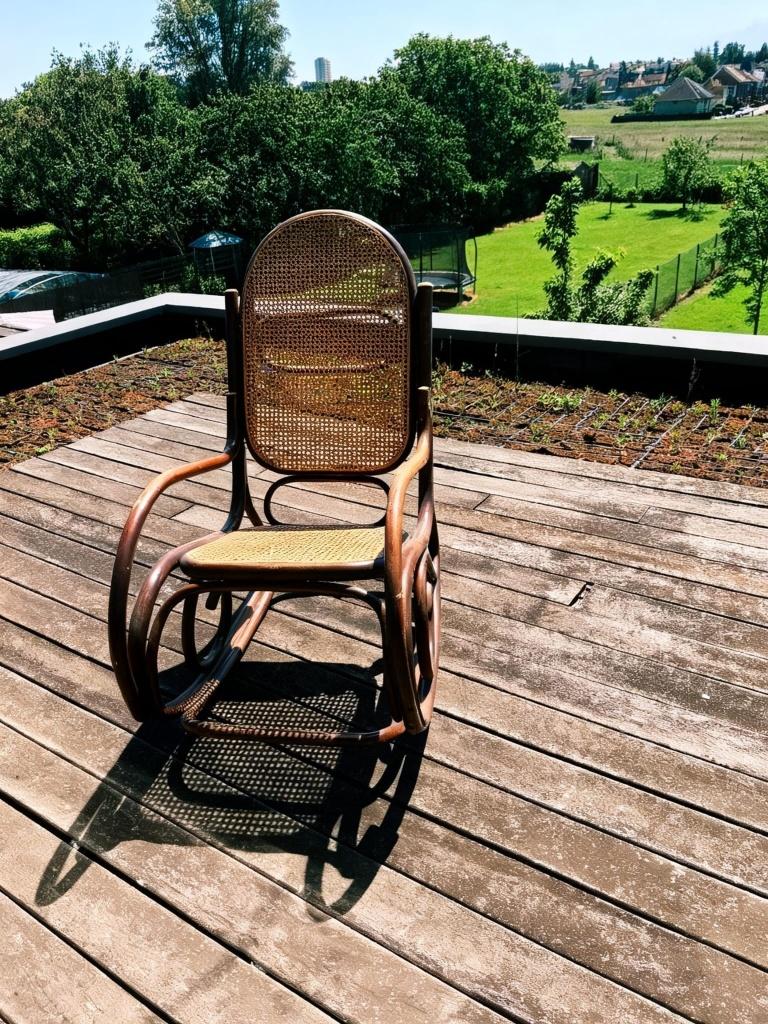 rotan schommelstoel, Huis en Inrichting, Ophalen, Gebruikt, Eenpersoons, Hout
