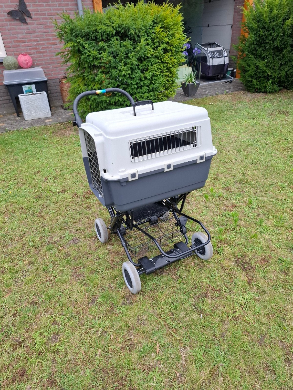 Honden of katten bench te koop, Enlèvement