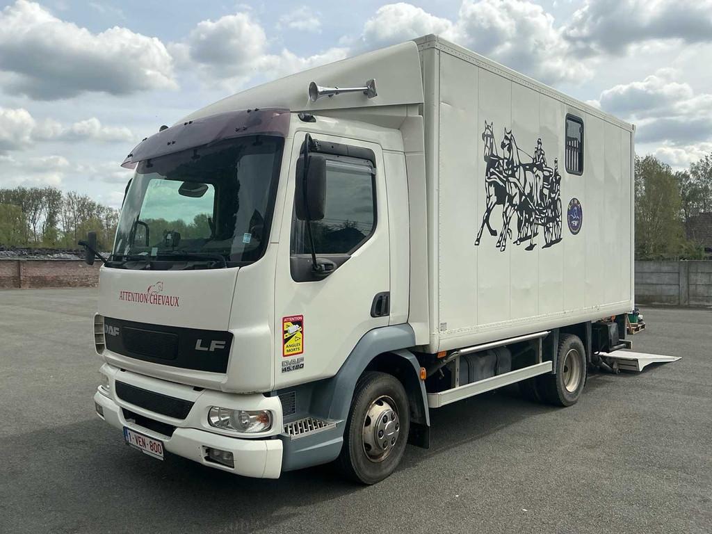 Transport hippomobile DAF LF45 2006, Autos, Achat, Entreprise, Autres carburants, DAF