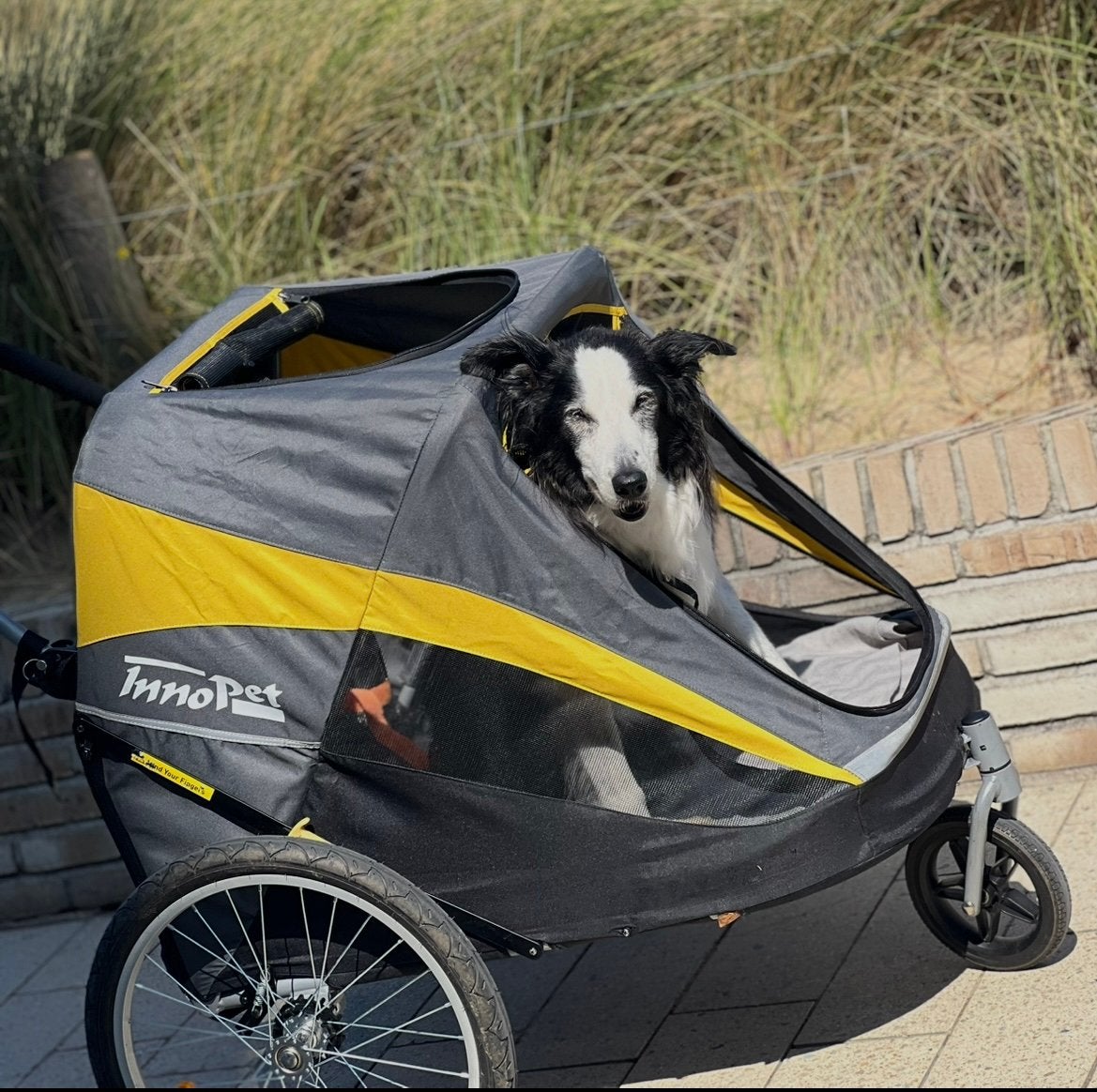 Poussette pour chien Inno Pet, Enlèvement, Comme neuf