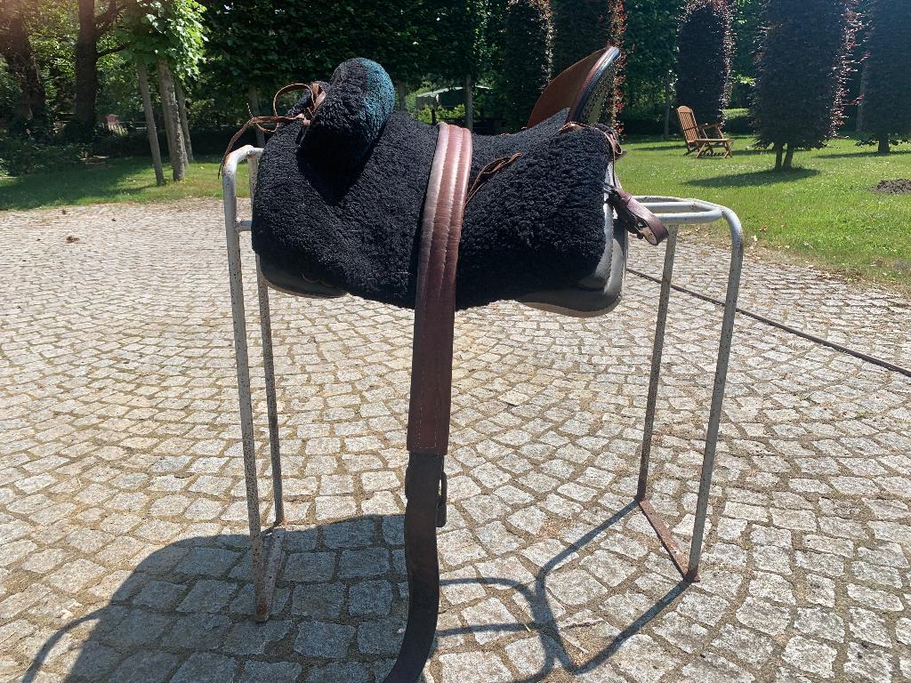 Bentaiga zadel Campo Flex middelgrote zitvlak, zwart, Enlèvement, Utilisé, Autres espèces