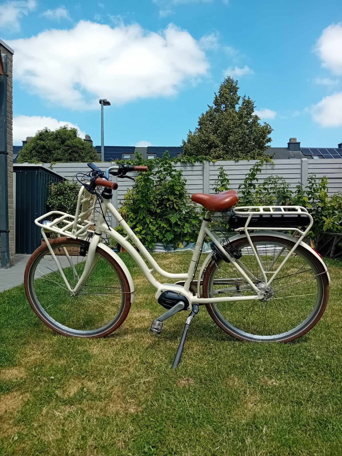 Beau vélo électrique pour femme, Enlèvement