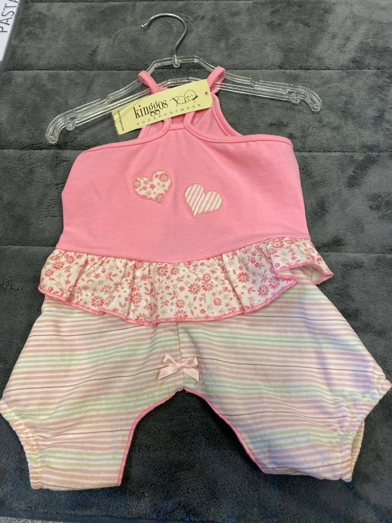Cute lentepakje aan outletprijs, Dieren en Toebehoren, Hondenkleding, Ophalen of Verzenden, Nieuw, Hondenkostuum
