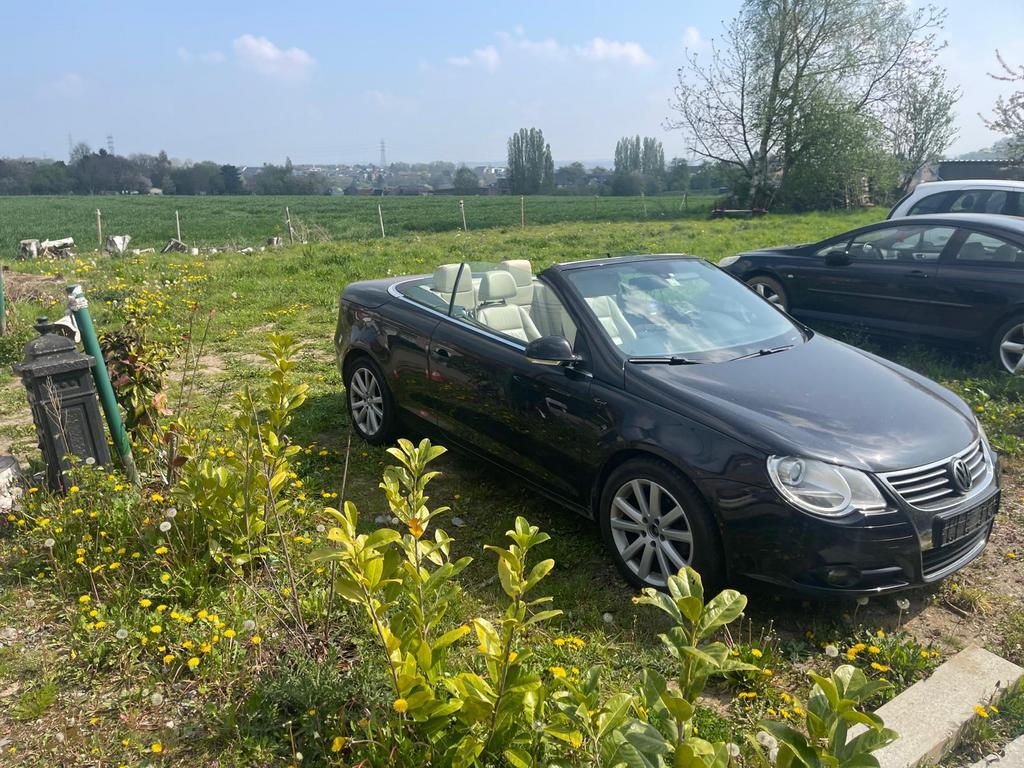 Volkswagen Eos cabriolet PRETE A IMMATRICULER, Autos, Cuir, Achat, Beige, Cabriolet