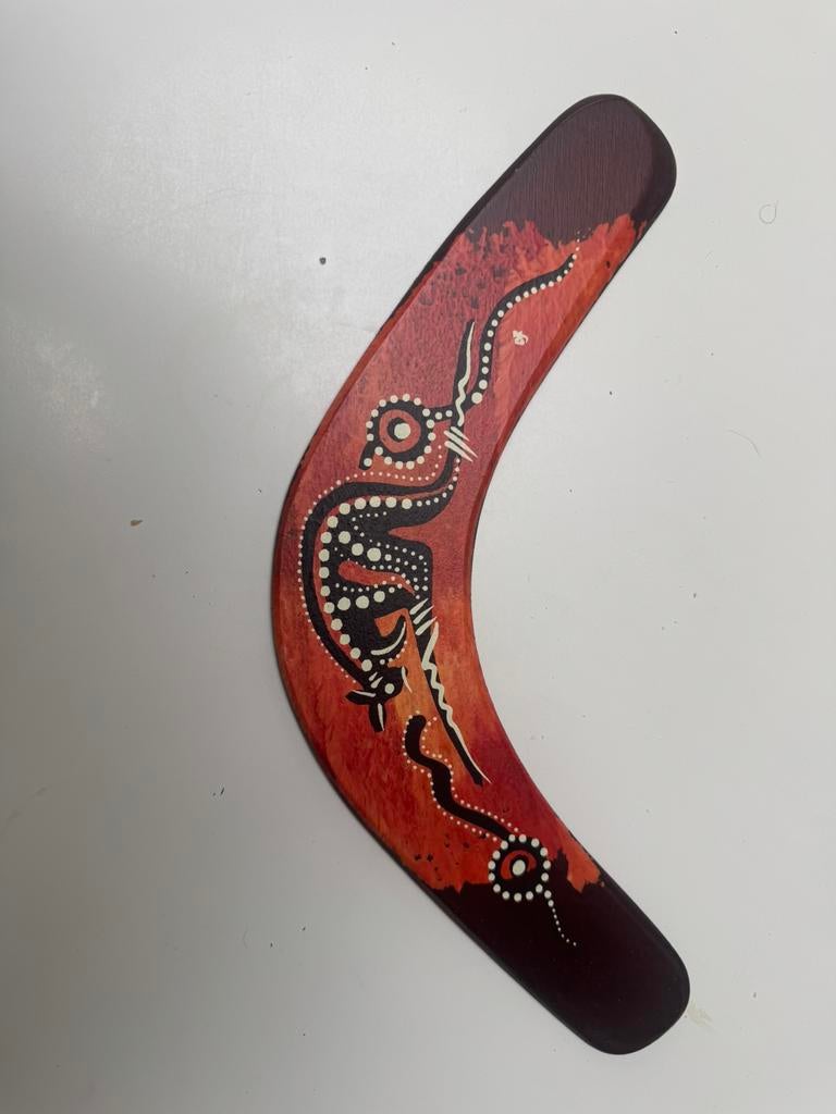 Boomerang Varnished 12, Ophalen of Verzenden, Nieuw
