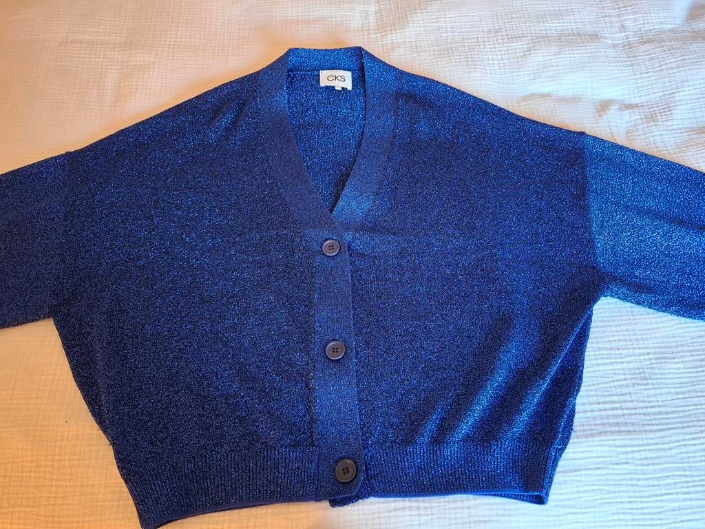 Cardigan cks, maat xl, blauw glitter, Ophalen, Blauw, Maat 46/48 (XL) of groter, Zo goed als nieuw